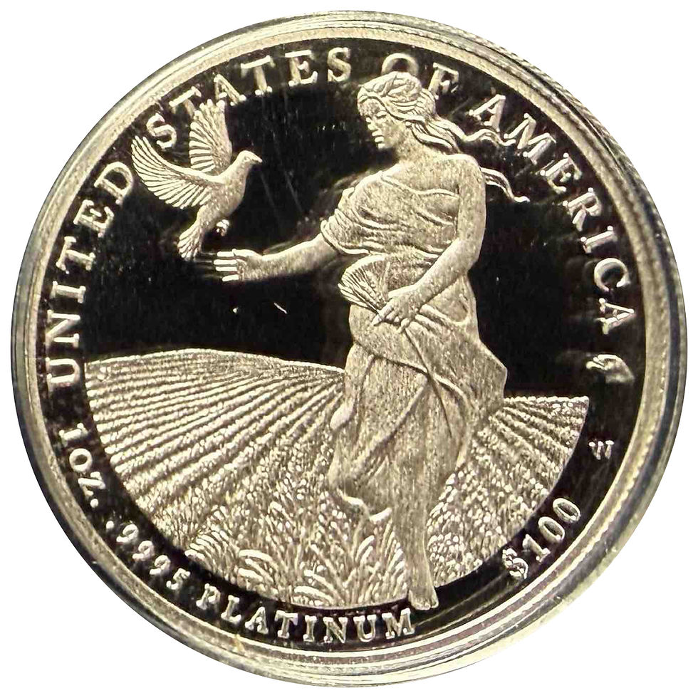 2013 カナダ メイプルリーフ銀貨 1オンス BU .9999 ファインシルバー